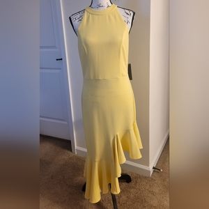 Ruffle Trim Asymmetrical Hem Dress
